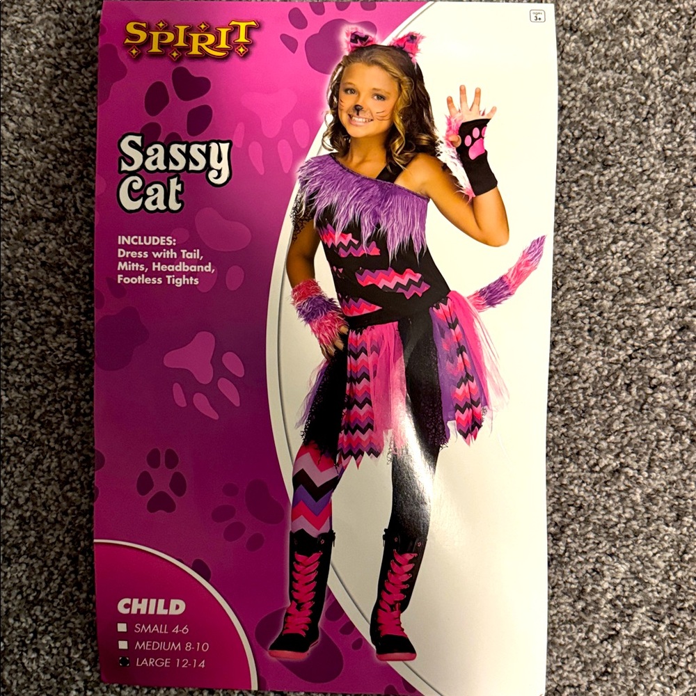 Kids Sassy Cat Costume, Large 12-14